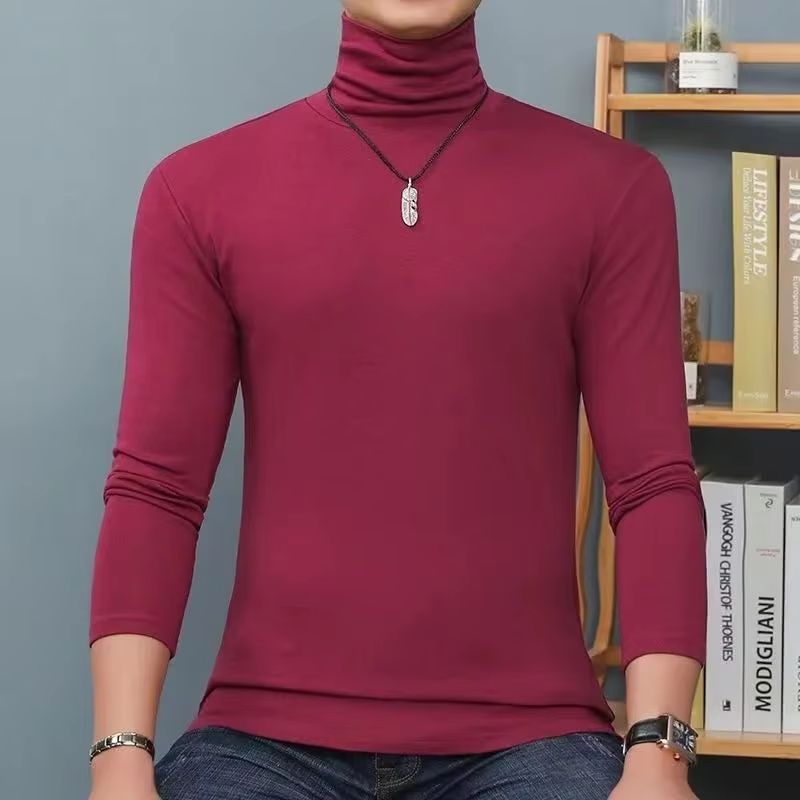 Turtleneck Sweater Men - سترات شتوية للرجال بياقة مدورة كاجوال